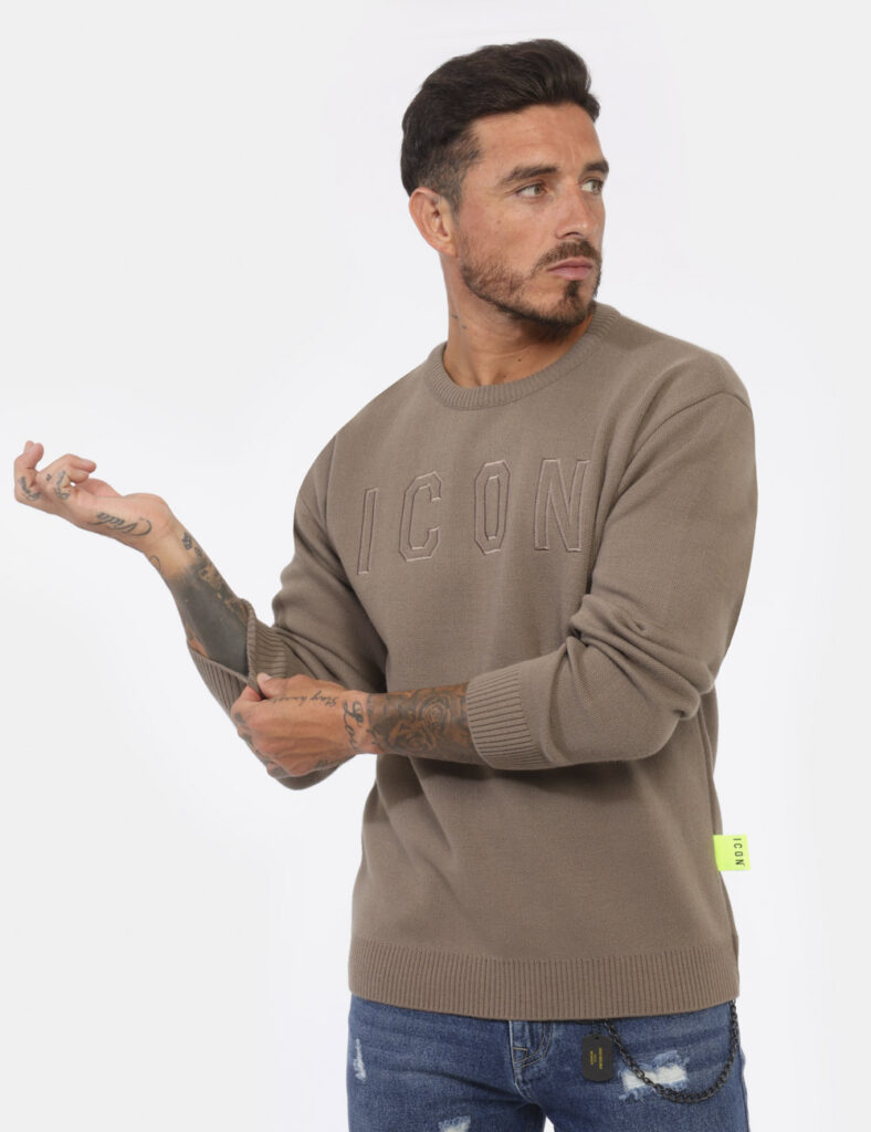 Abbigliamento da uomo Icon  - Maglione Icon Verde