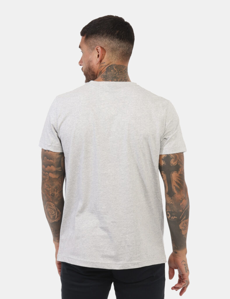 T-Shirt Gant Grigio