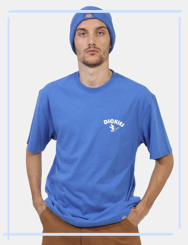 T-shirt Dickies BLu - L’articolo appartiene al campionario esclusivo di stagione: pezzo unicoCod. art. DK0A863G WB CVVi rico