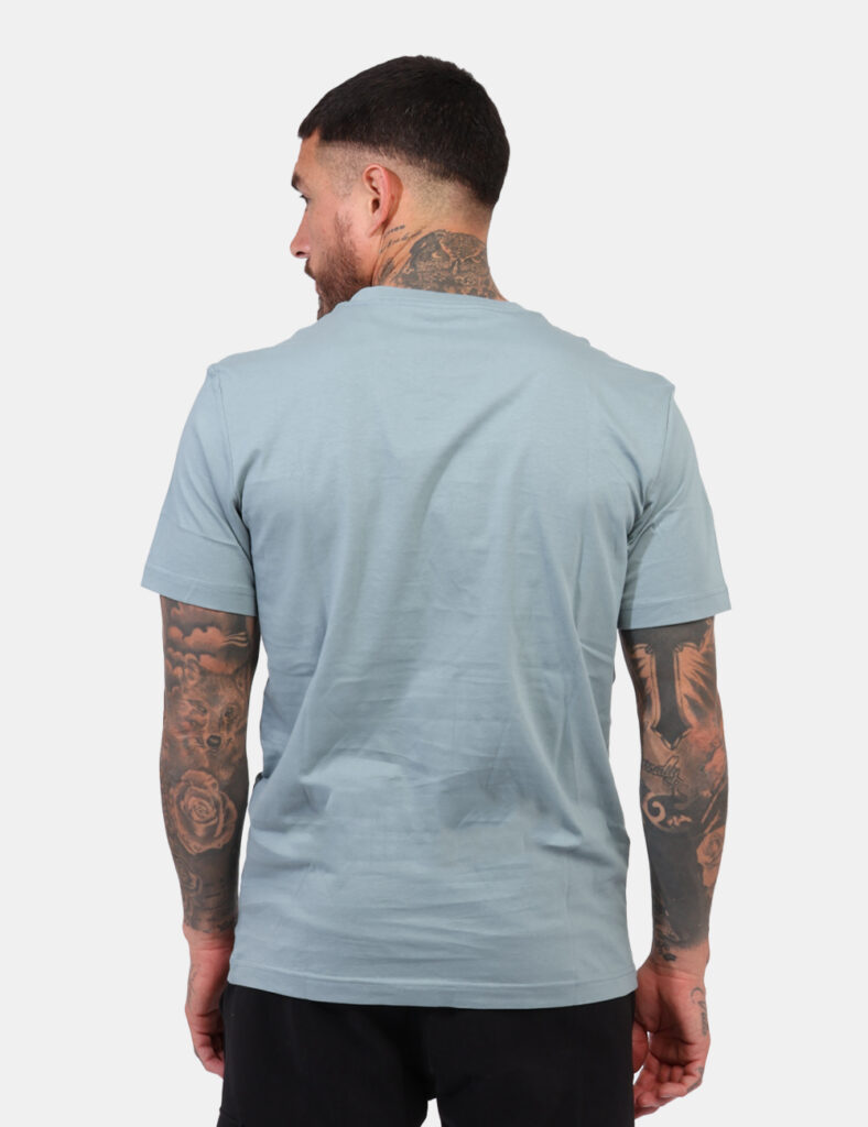 T-shirt Calvin Klein Grigio