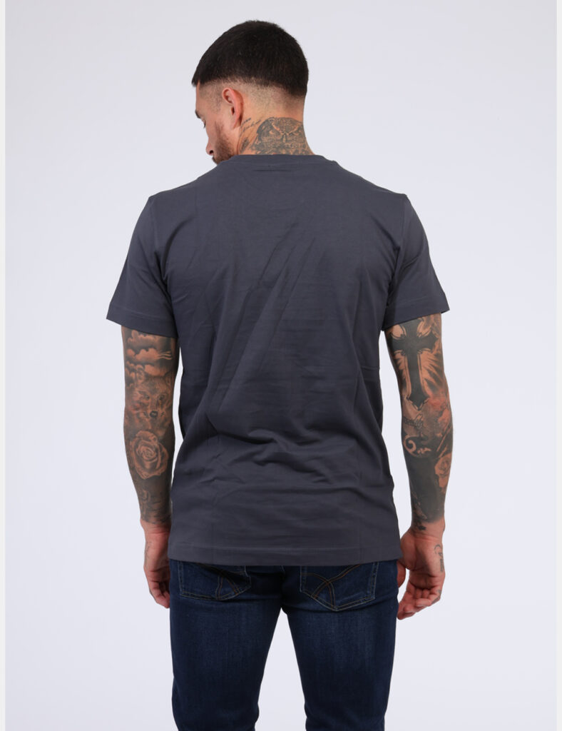 T-shirt Calvin Klein Grigio